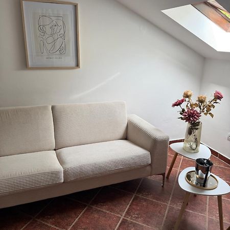 Apartment Damjan Cattaro Esterno foto